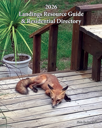 fox sitting on a deck