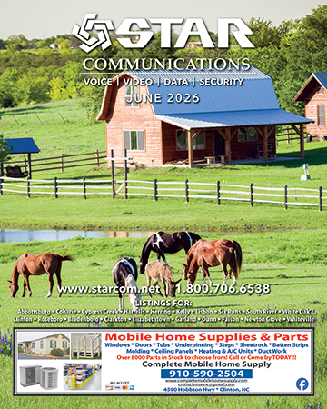 Horses on a ranch